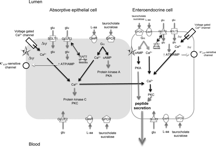 Figure 9