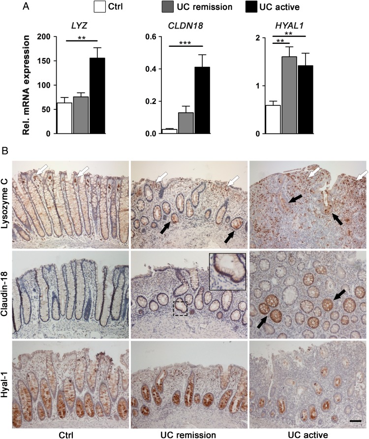 Figure 5