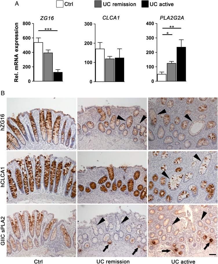 Figure 6