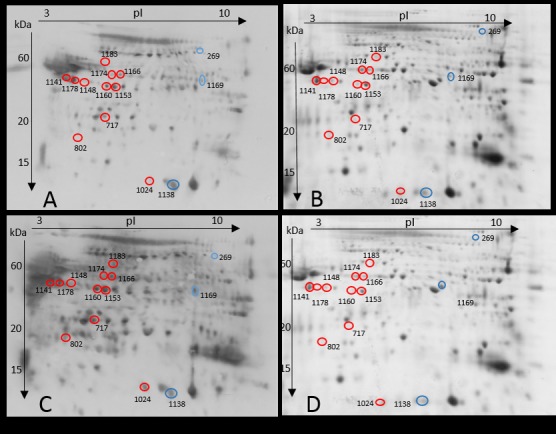 Fig 3