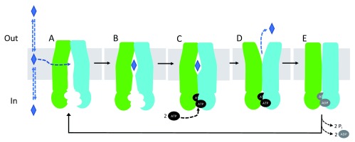 Figure 2. 