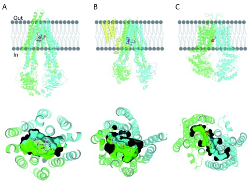 Figure 1. 