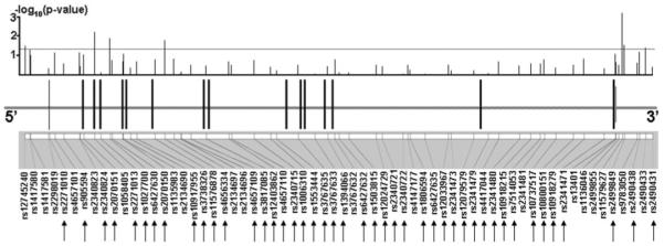 FIG. 1