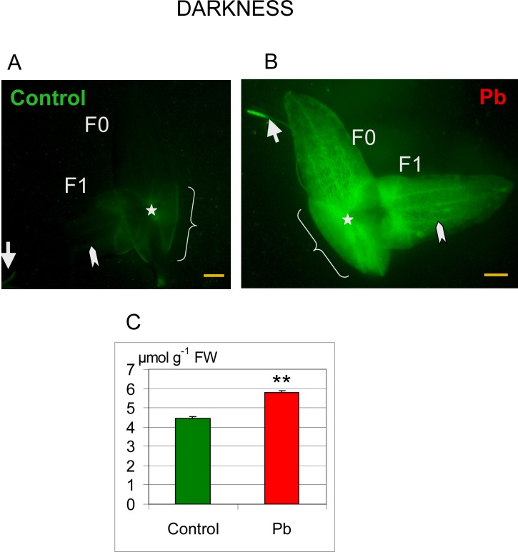 Fig 9