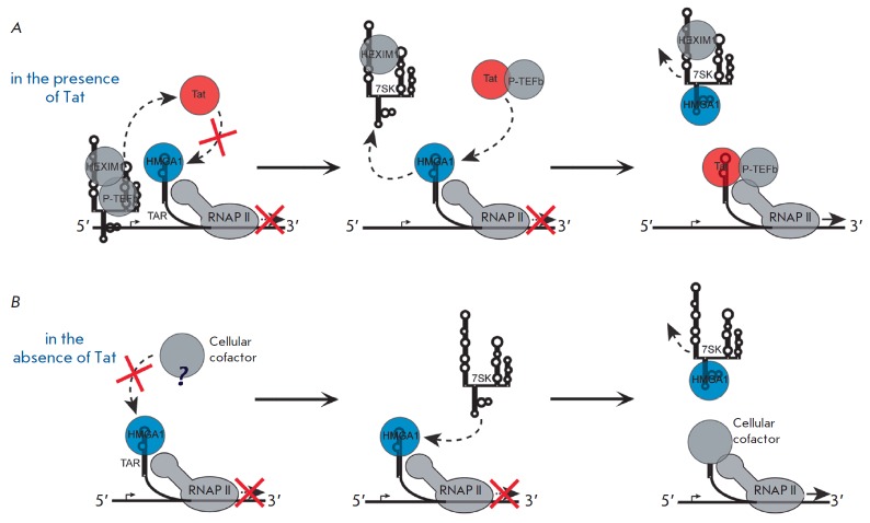 Fig. 10