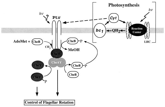 FIG. 5