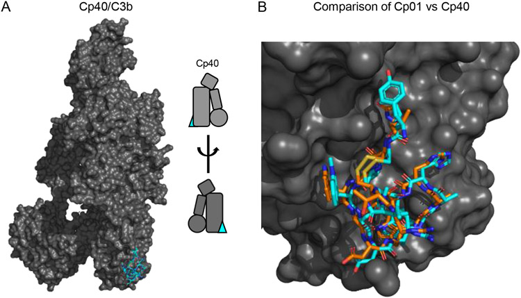 Figure 6.