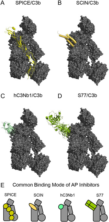 Figure 5.