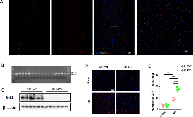 Fig. S1