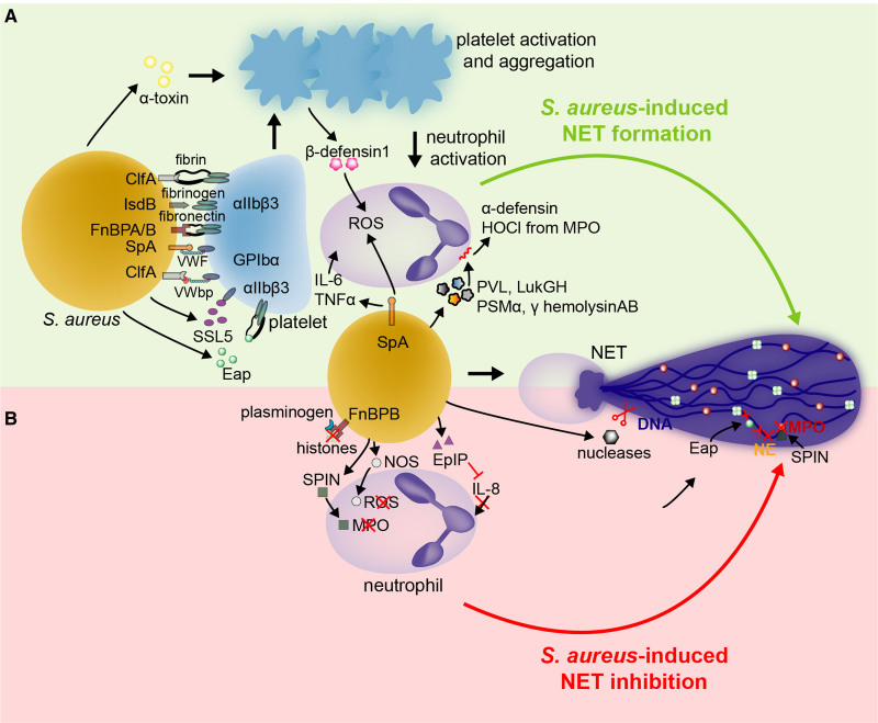 Figure 4.