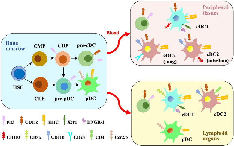 Figure 1