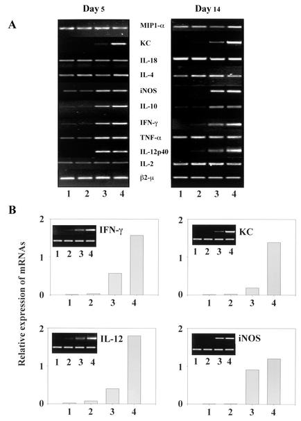 FIG. 4.