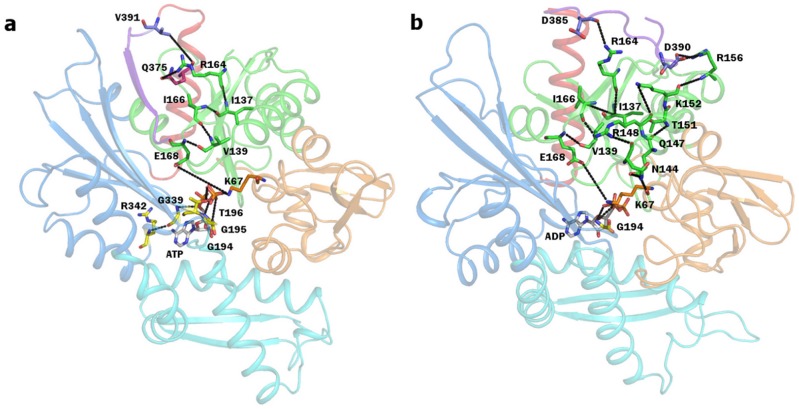 Figure 7