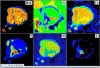 Fig. 2.