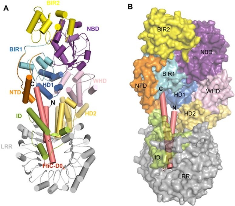 Figure 3