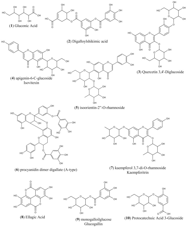 Figure 7