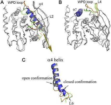 FIGURE 4