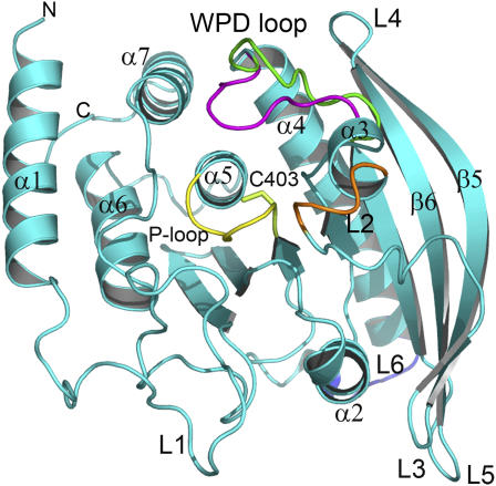 FIGURE 1