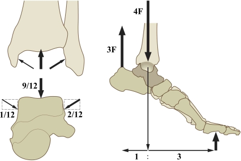 Fig. 2