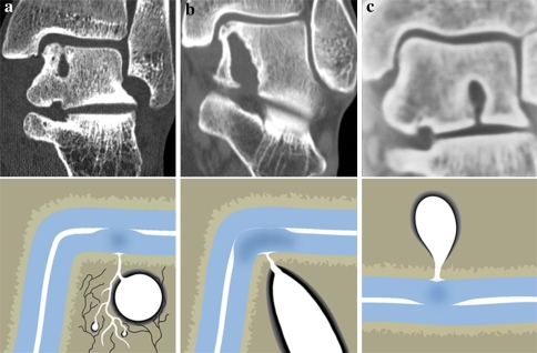 Fig. 6