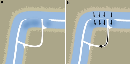 Fig. 10