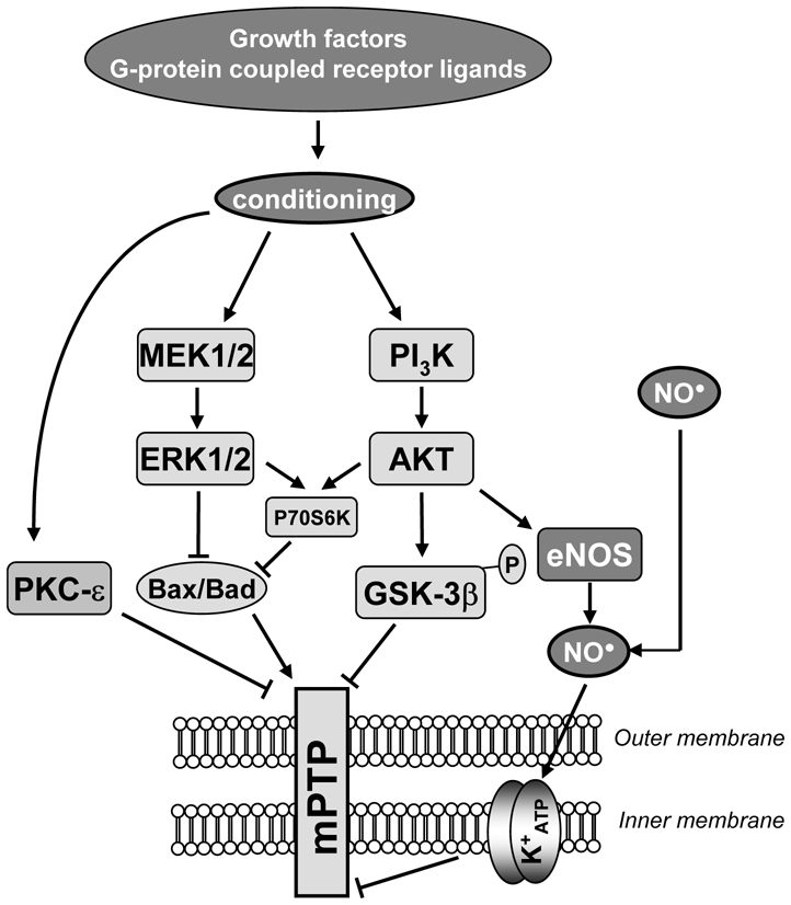 Fig. (5)