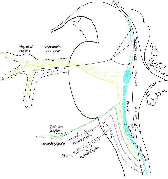 Fig.2