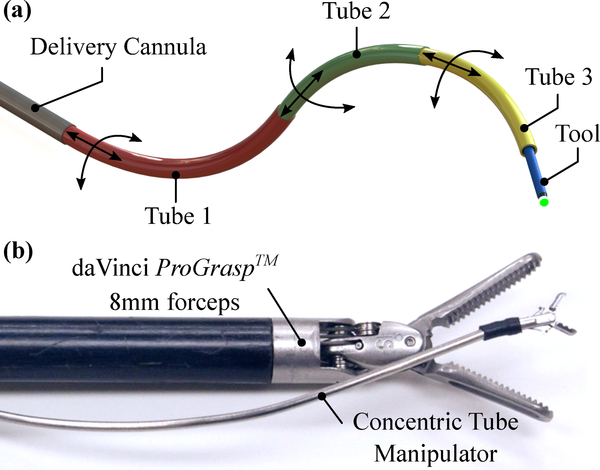 Figure 1: