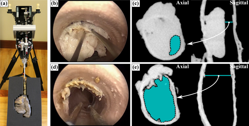 Figure 4: