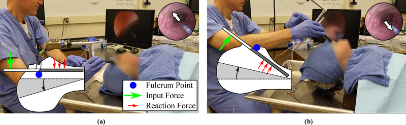 Figure 7: