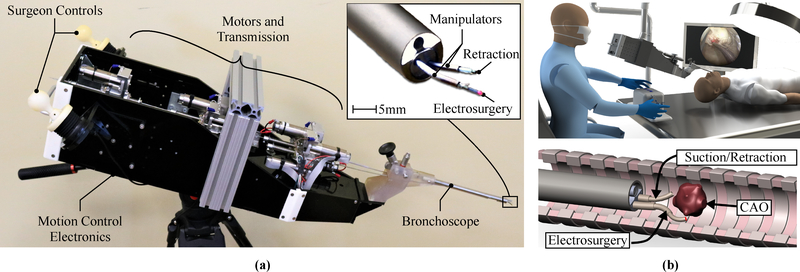 Figure 2: