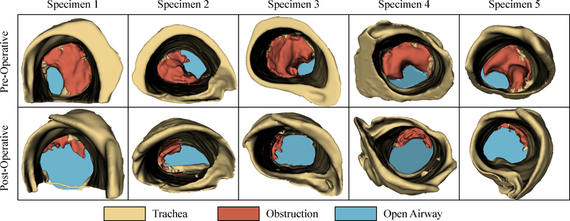 Figure 5: