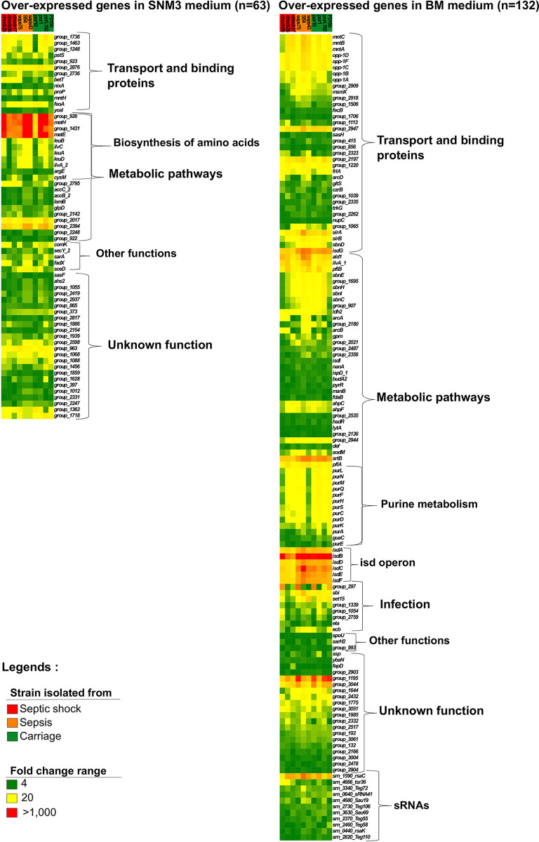 FIG 6