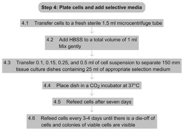 Figure 17.5