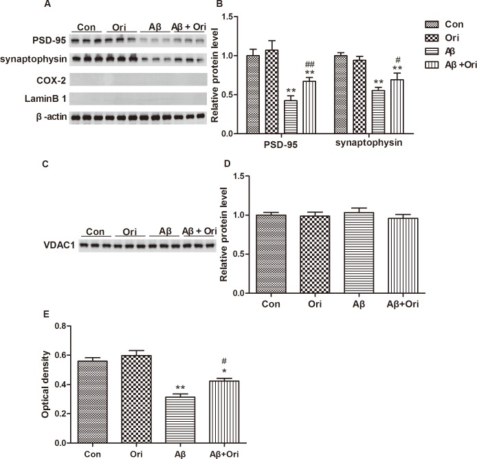 Fig 4