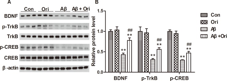 Fig 5