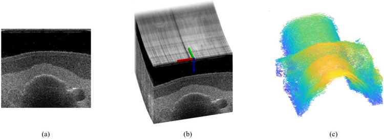 Fig. 4.