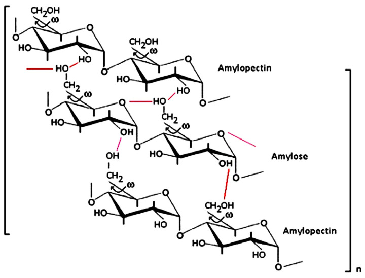 Scheme 5