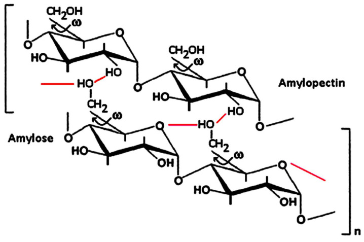 Scheme 4