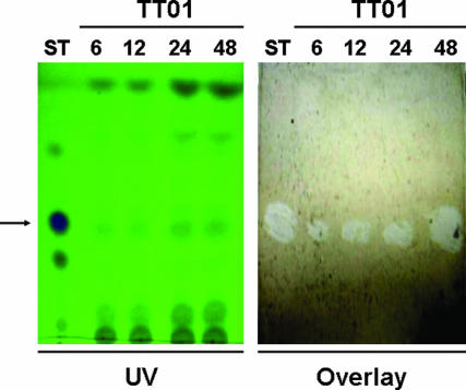 Fig. 4.