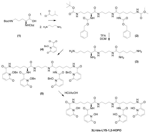 Scheme 1