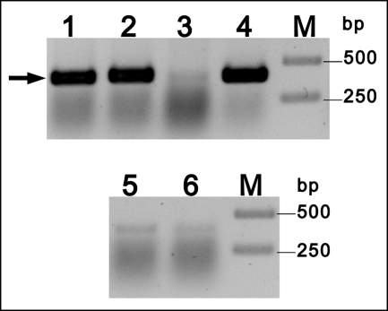 FIGURE 7.