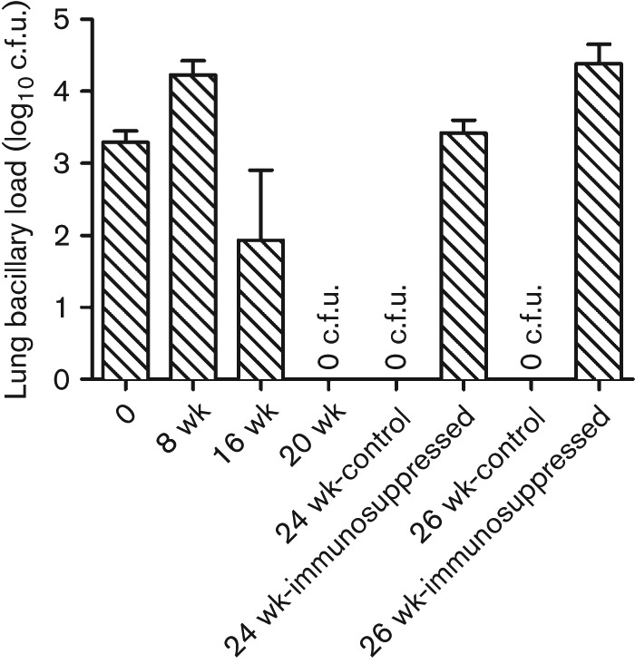 Fig. 1. 