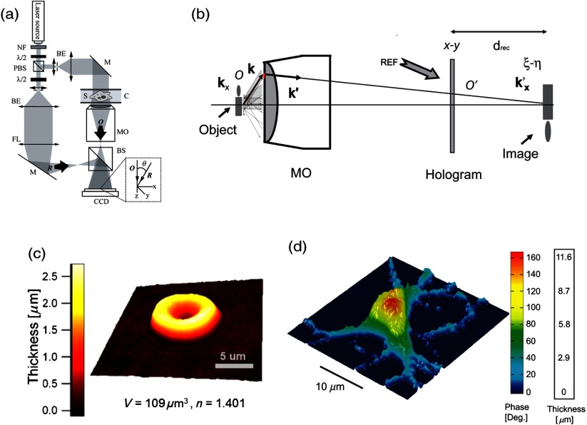 Fig. 1