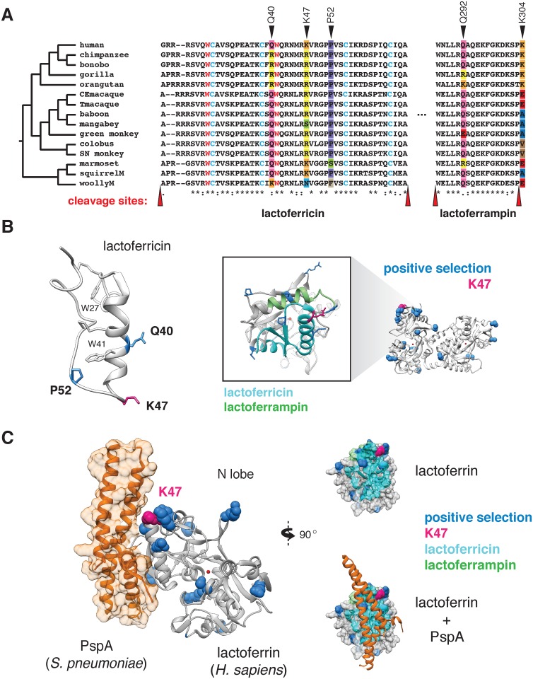 Fig 3