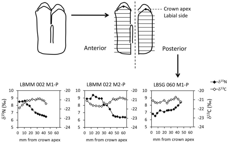 Fig 6