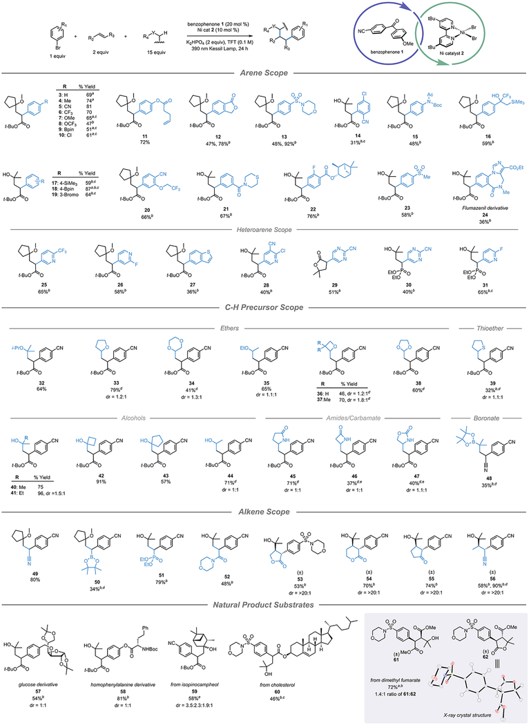 graphic file with name nihms-1685387-t0002.jpg