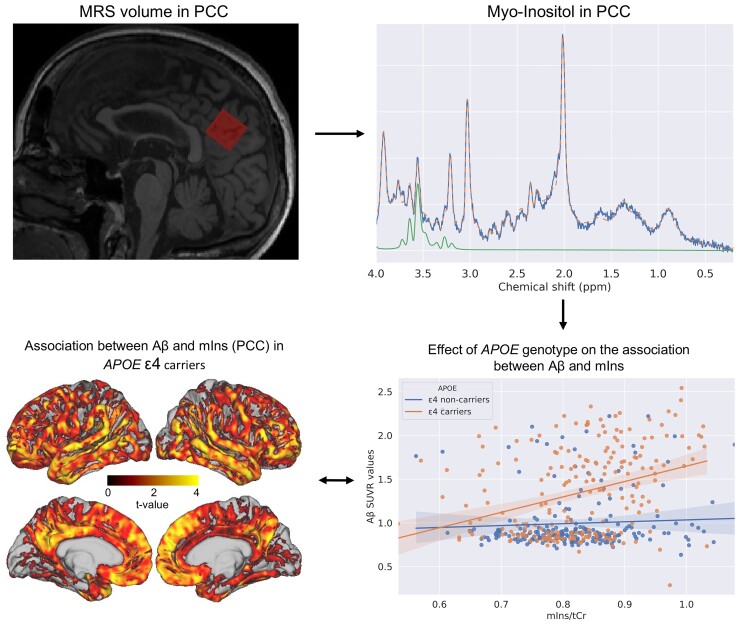 Graphical abstract