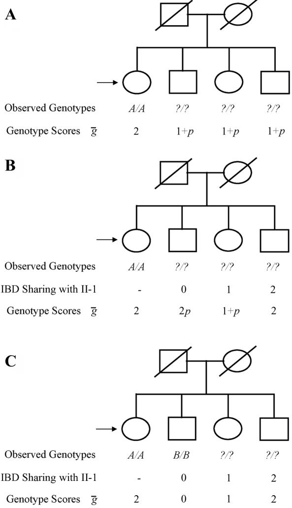 Figure  1. 