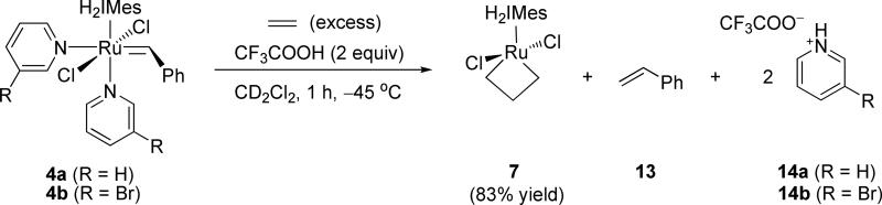 Scheme 5